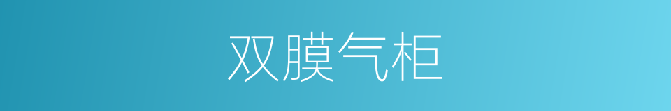 双膜气柜的同义词