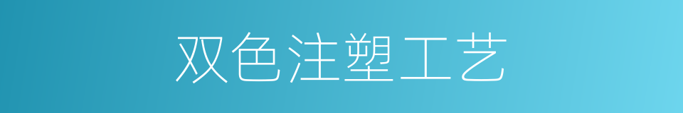 双色注塑工艺的同义词