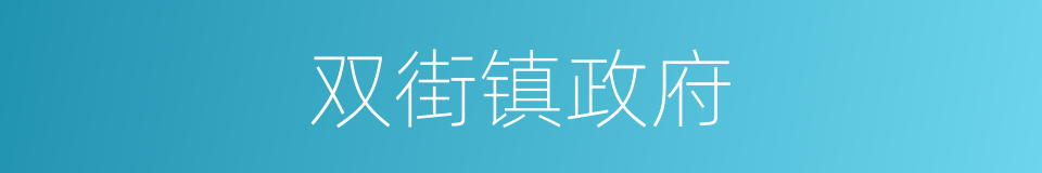 双街镇政府的同义词