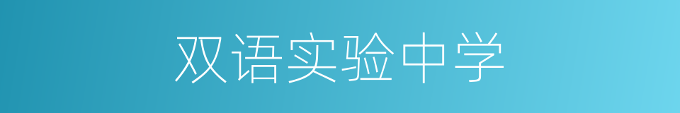双语实验中学的同义词
