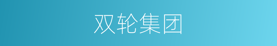 双轮集团的同义词