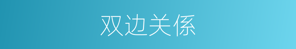 双边关係的同义词