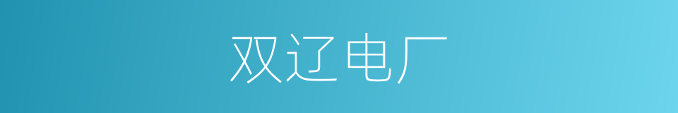 双辽电厂的同义词