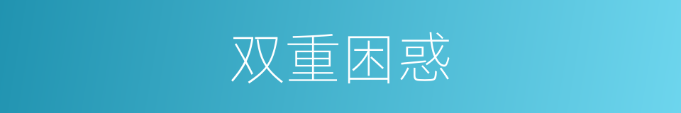 双重困惑的同义词