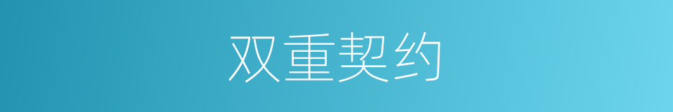 双重契约的同义词