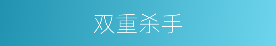 双重杀手的同义词