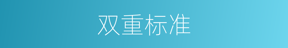 双重标准的意思
