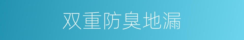 双重防臭地漏的同义词