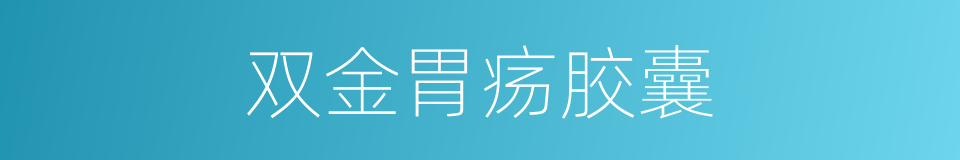 双金胃疡胶囊的同义词