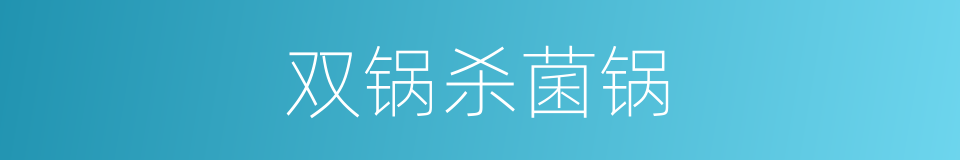 双锅杀菌锅的同义词