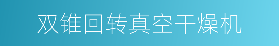 双锥回转真空干燥机的同义词