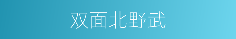 双面北野武的意思