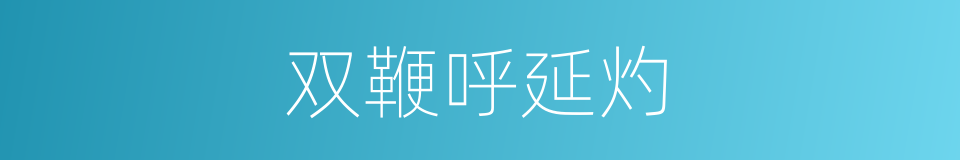 双鞭呼延灼的同义词