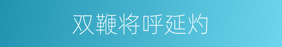 双鞭将呼延灼的同义词