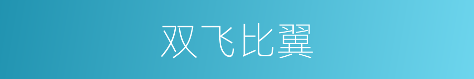 双飞比翼的同义词