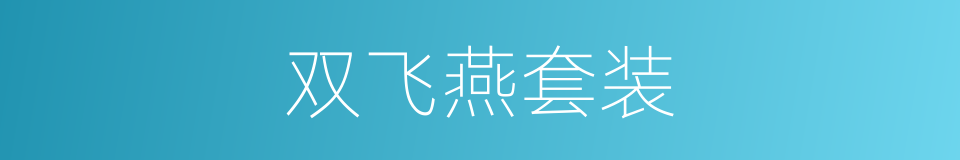 双飞燕套装的同义词