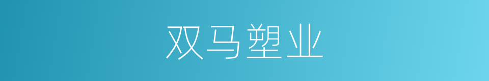 双马塑业的同义词