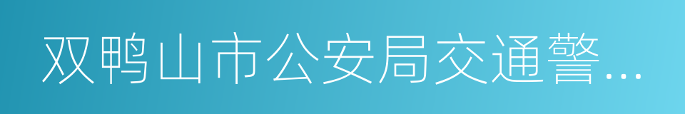 双鸭山市公安局交通警察支队的同义词