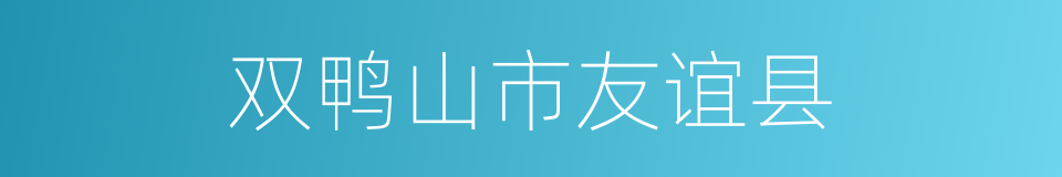 双鸭山市友谊县的同义词