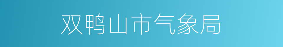 双鸭山市气象局的同义词