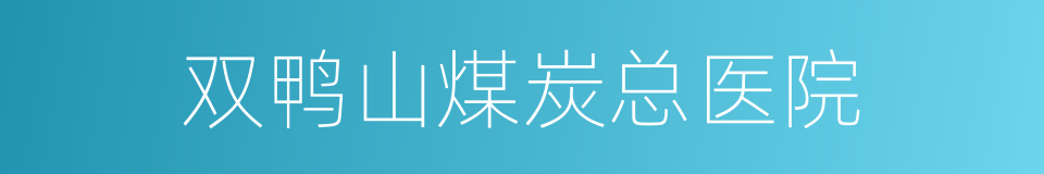 双鸭山煤炭总医院的同义词
