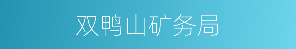 双鸭山矿务局的同义词