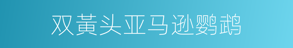 双黃头亚马逊鹦鹉的同義詞