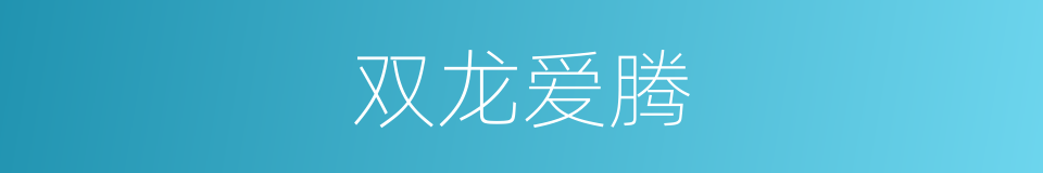 双龙爱腾的同义词