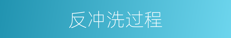 反冲洗过程的同义词