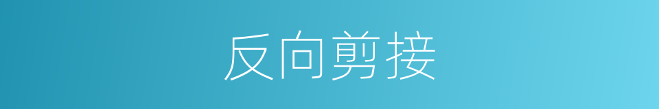 反向剪接的同义词