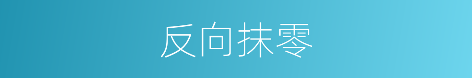 反向抹零的同义词