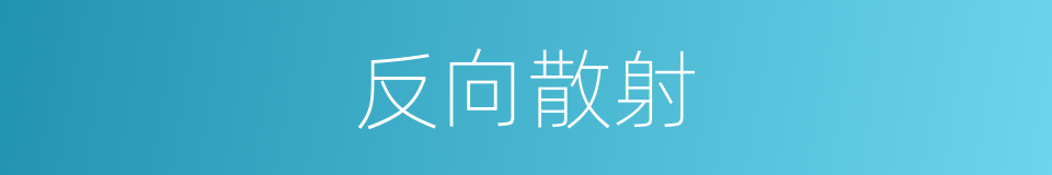 反向散射的同义词