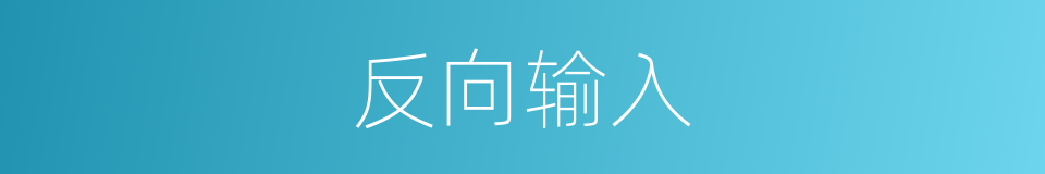 反向输入的同义词