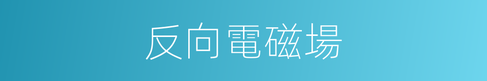 反向電磁場的同義詞