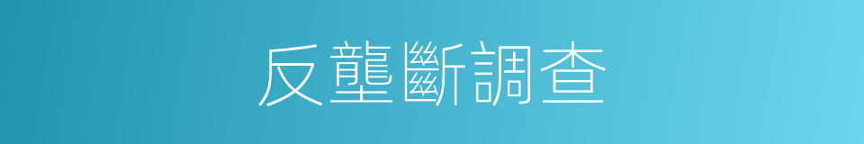 反壟斷調查的同義詞