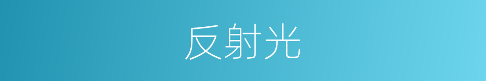 反射光的同义词