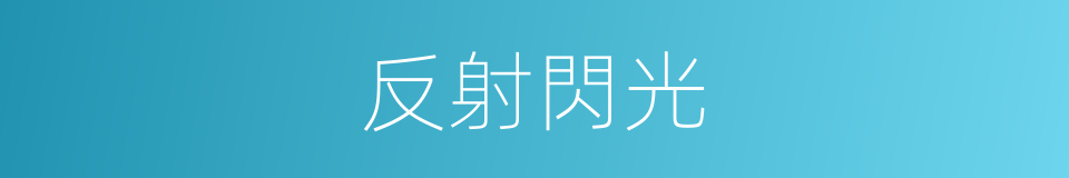 反射閃光的同義詞