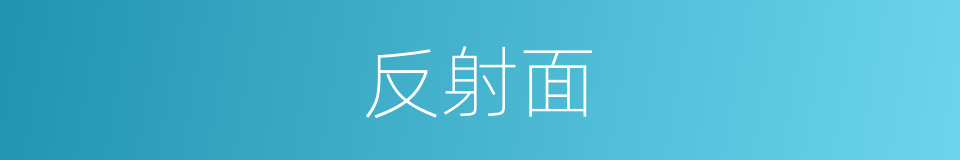 反射面的同义词