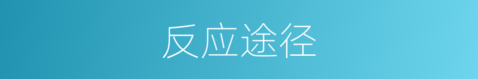 反应途径的同义词