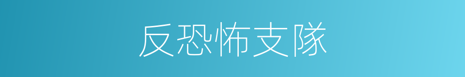 反恐怖支隊的同義詞