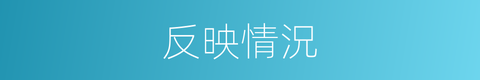 反映情況的同義詞