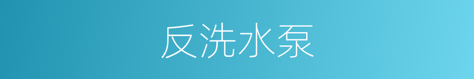 反洗水泵的同义词