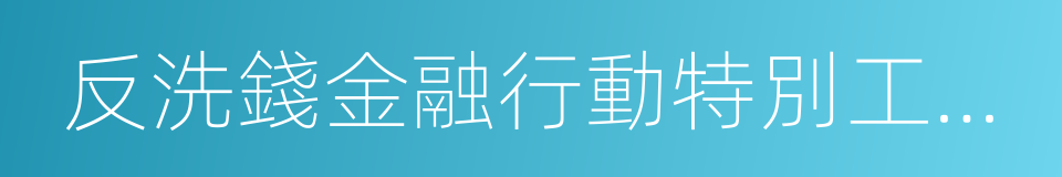 反洗錢金融行動特別工作組的同義詞
