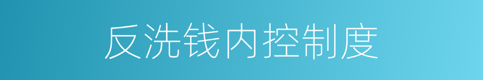 反洗钱内控制度的同义词