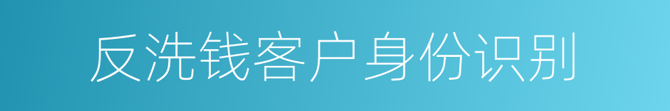 反洗钱客户身份识别的同义词