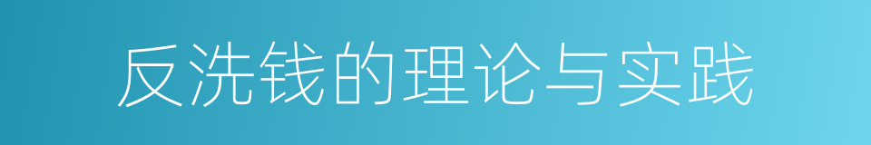反洗钱的理论与实践的同义词