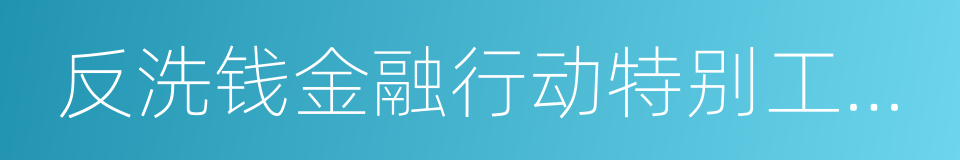 反洗钱金融行动特别工作组的同义词