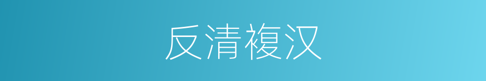 反清複汉的同义词