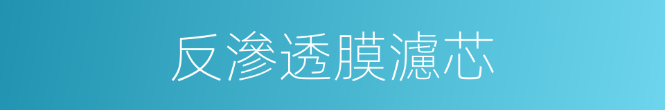 反滲透膜濾芯的同義詞
