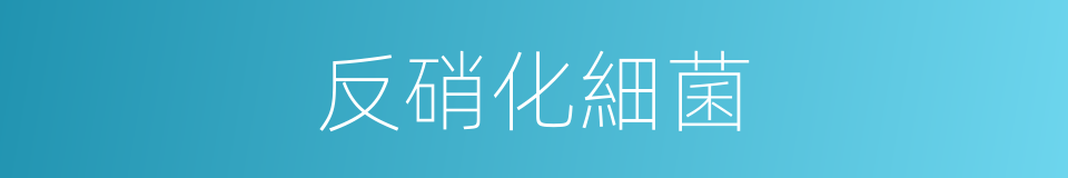 反硝化細菌的同義詞